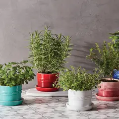 LE CREUSET - Macetero con Bandeja 15 cm Cereza