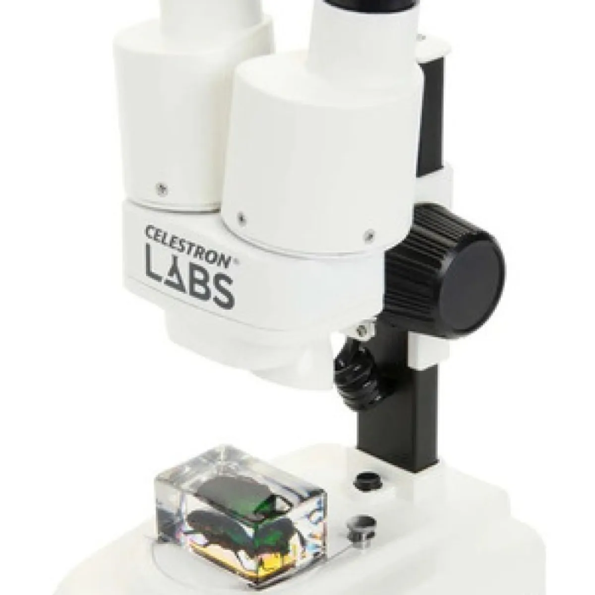 CELESTRON - Microscopio Lupa Celestron Labs S20 Escolar