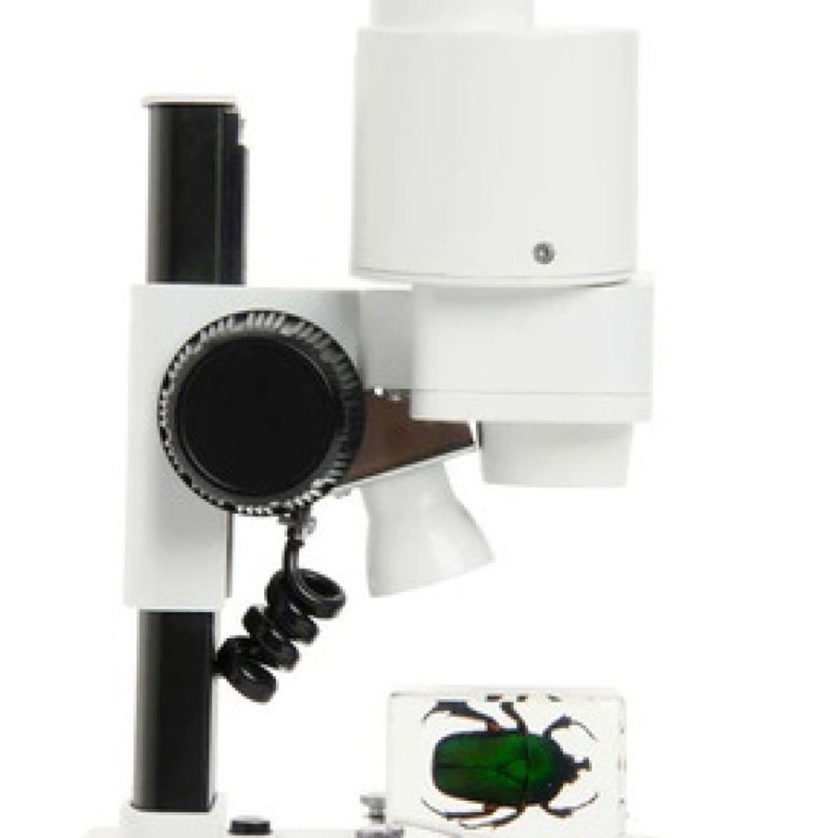 CELESTRON - Microscopio Lupa Celestron Labs S20 Escolar