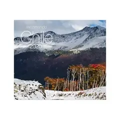 ANTARTICA LIBROS - Calendario 2020 Recorriendo Chile Mural