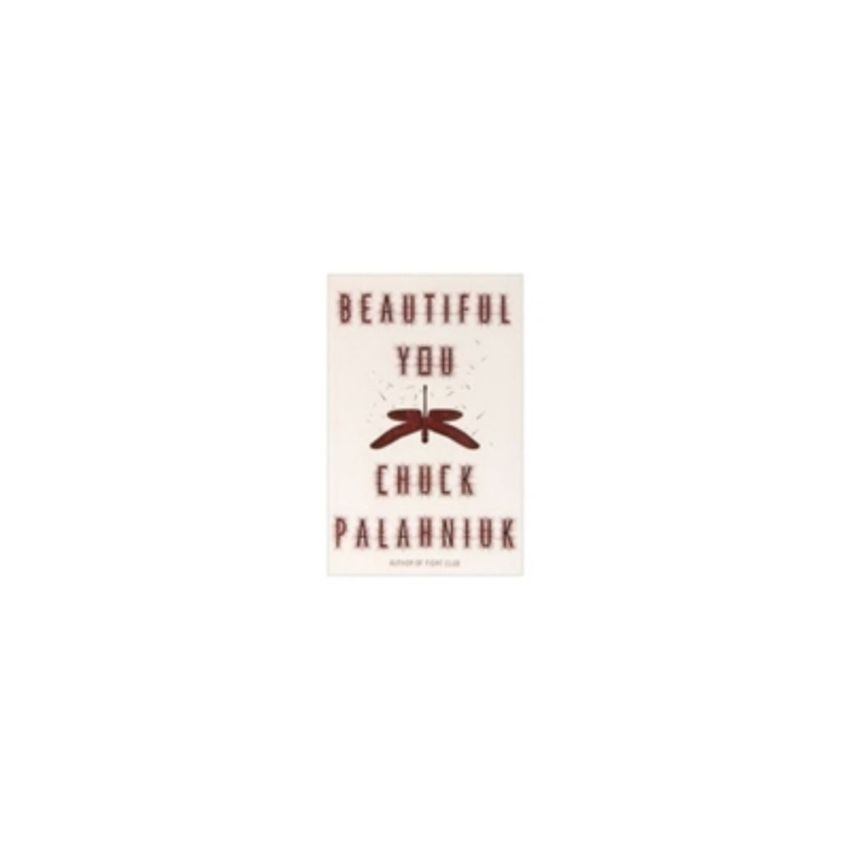 ANTARTICA LIBROS - Beautiful You: A Novel