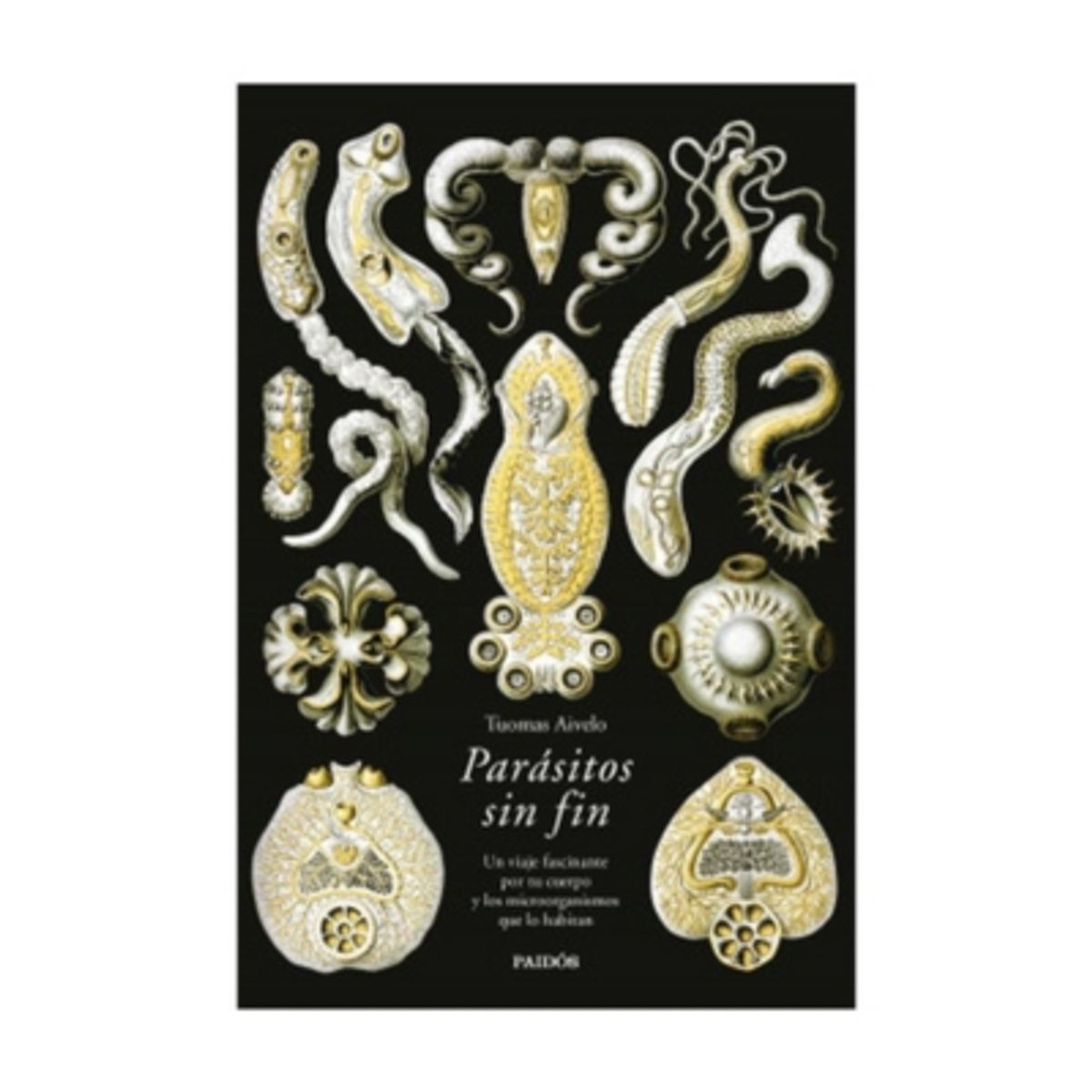 PAIDOS - Parasitos Sin Fin - AIVELO, TUOMAS