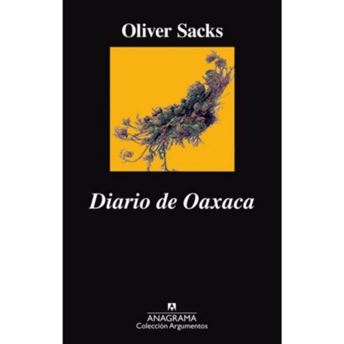 ANAGRAMA - Diario De Oaxaca
