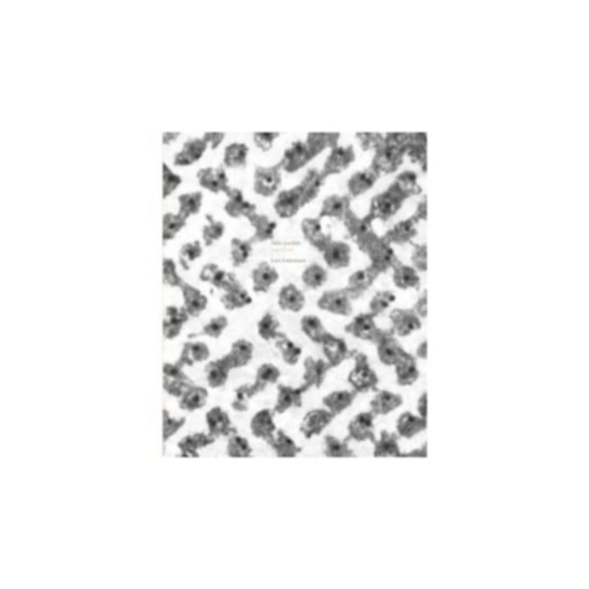 RM - El Niño Perdido