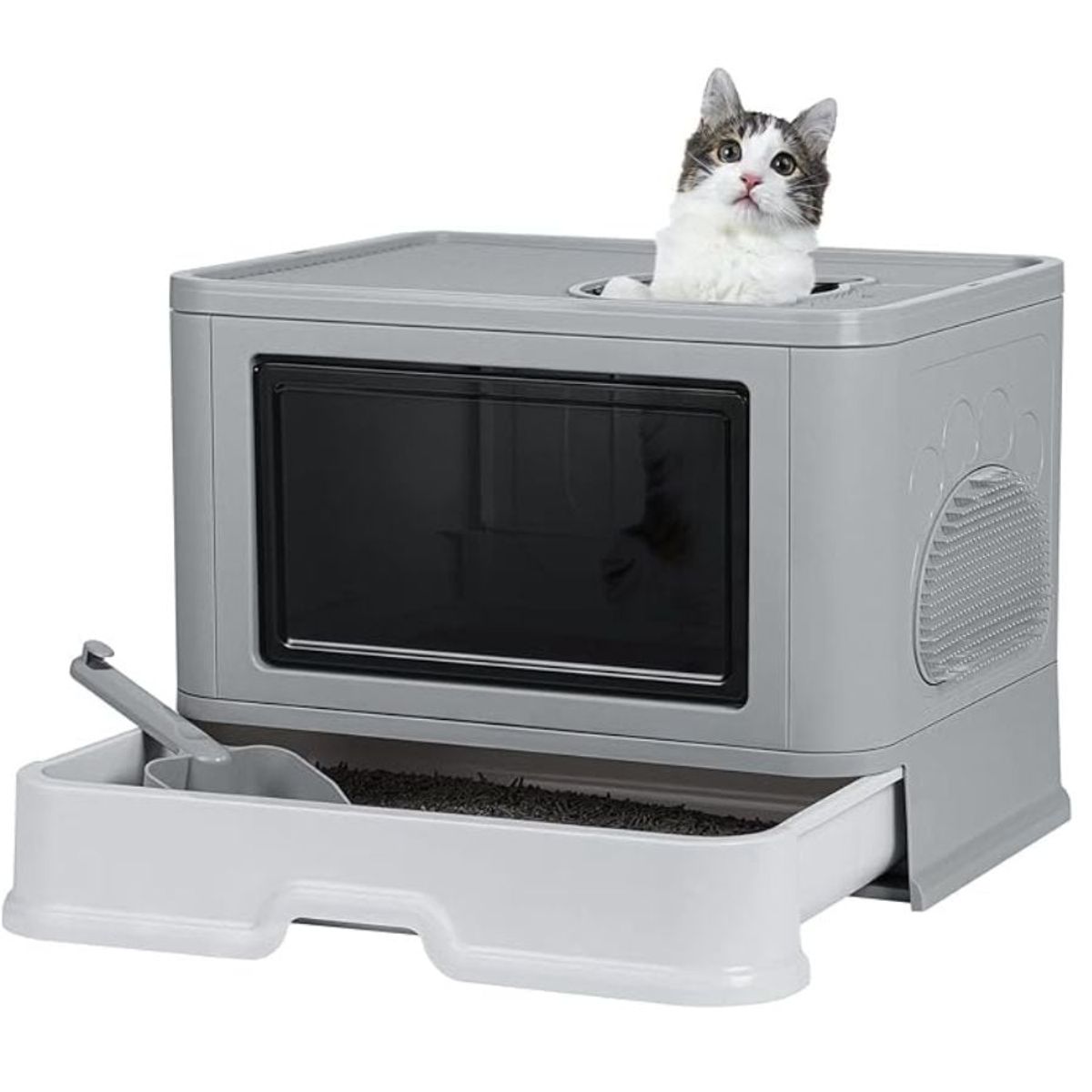 GENERICO - Arenero para gatos 48X36X38 CON PALA