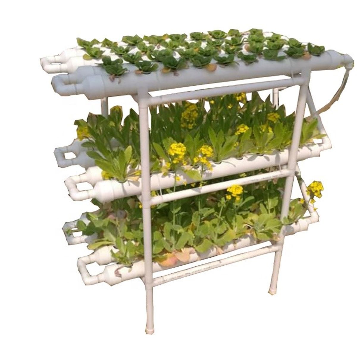 GENERICO - Cultivo Hidropónico 108 Plantas