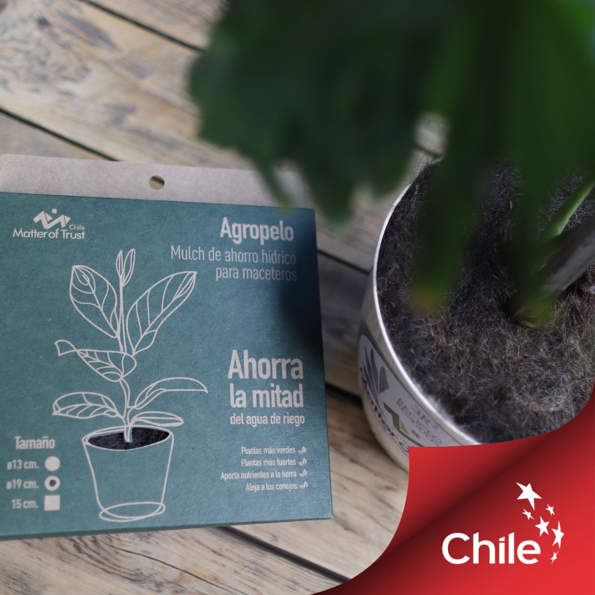 GENERICO - DISCOS AGROPELO NATURAL 19CM MULCH DE AHORRO HIDRICO PARA MACETEROS