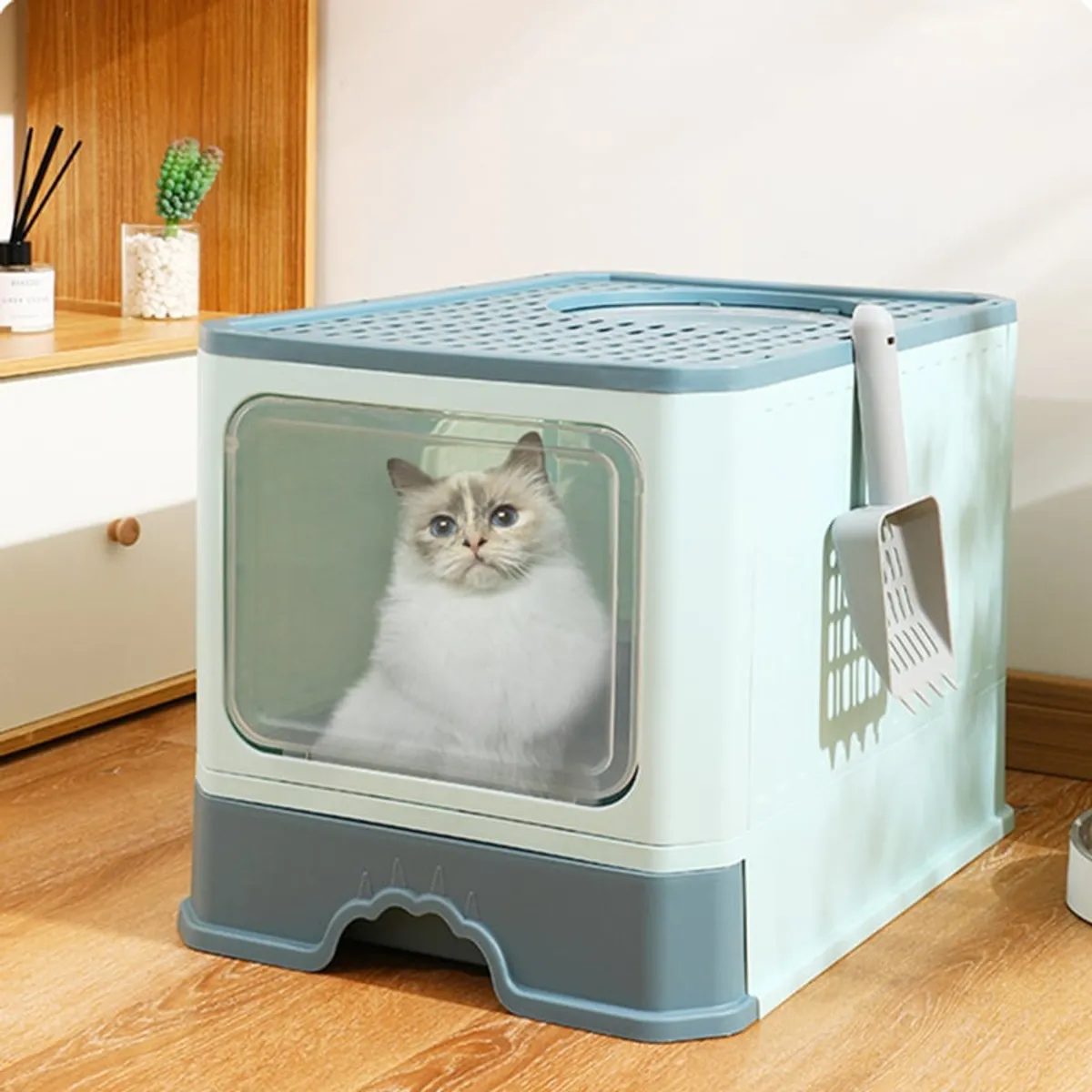 GENERICO - Arenero Cupula Bandeja Sanitaria para Gato Celeste