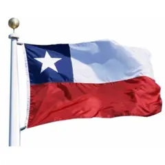 UNIVERSAL - BANDERA CHILENA BORDADA 140 X 210 CMS