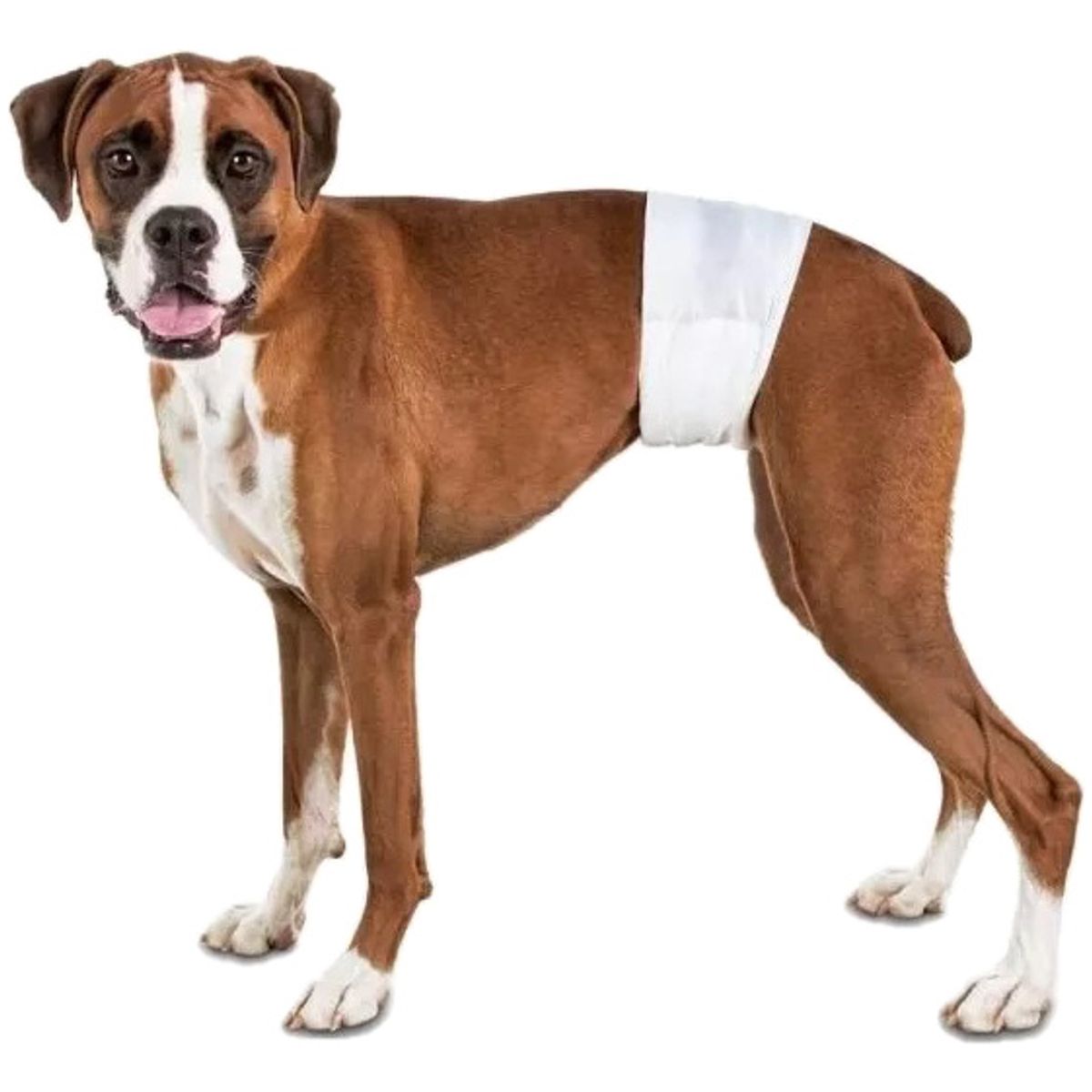 GENERICO - 36 Pañales Para Perros Pañales Para Perro Pañales Gato Xl