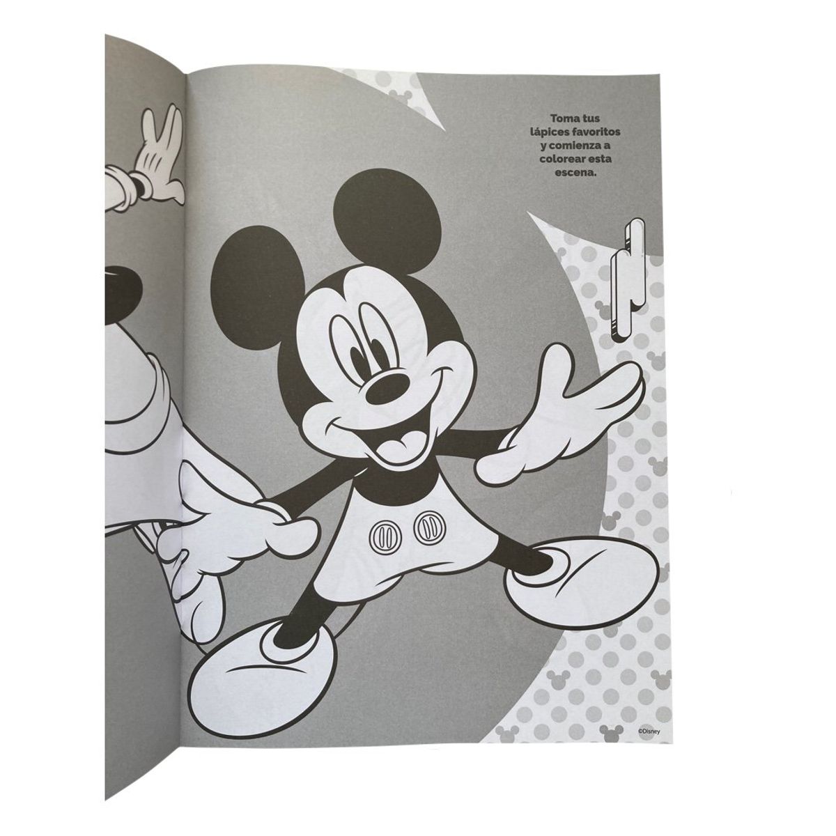 VERTICE - Pack libros Colorea Mickey y Minnie