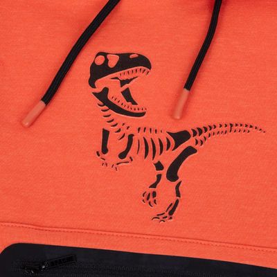 Imagen 2 del producto Polerón Niño Naranja