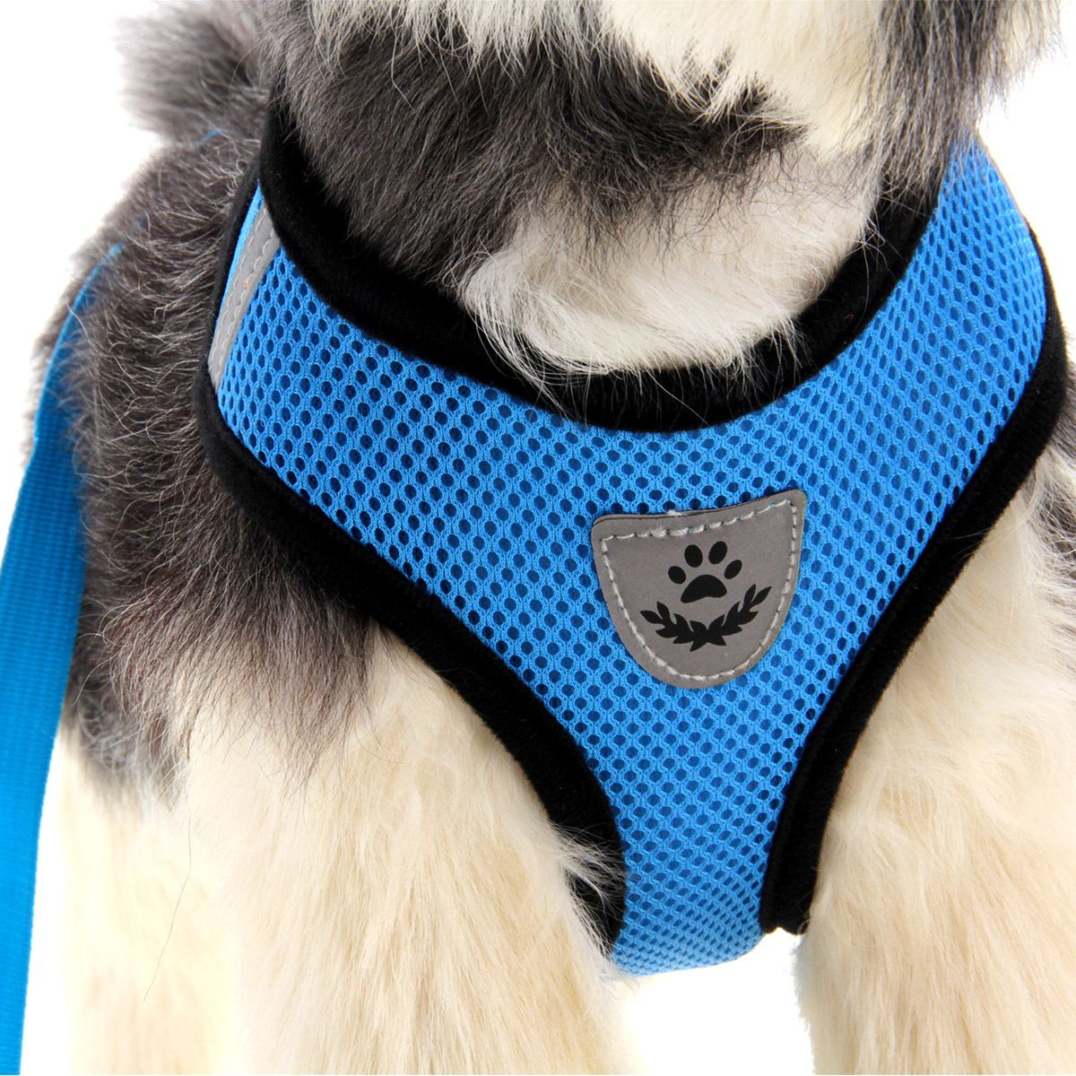 MASCO TODO - Arnés Reflectante y Correa para Perros Mascotas Azul Talla M