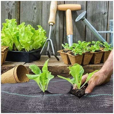 Imagen 2 del producto Rollo Malla Antimaleza 20m Lineales 1m Ancho