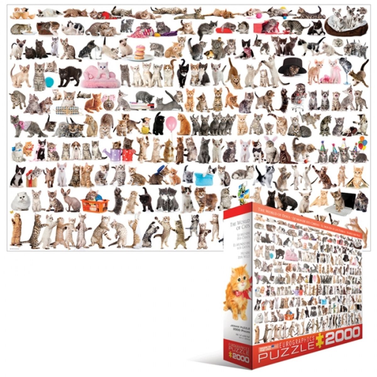 EUROGRAPHICS - EUROGRAPHICS 8220-0580 THE WORLD OF CATS PUZZLE 2000 PIEZAS