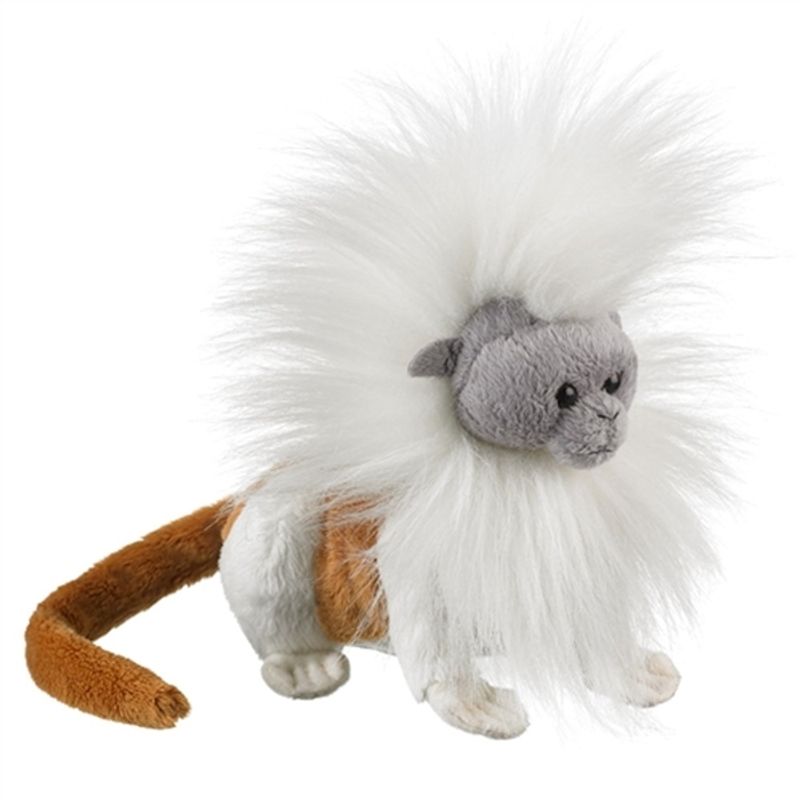 GENERICO - WILDLIFE CCR-1100CT COTTONTOP TAMARIN 8 PULG
