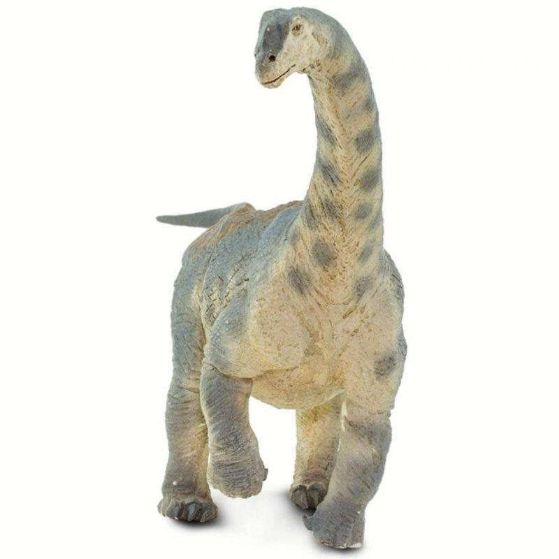 SAFARI - SAFARI 100309 CAMARASAURUS