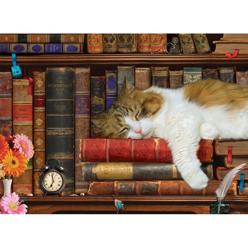 EUROGRAPHICS - EUROGRAPHICS 8500-5545 THE CAT NAP 500 PIEZAS PUZZLE
