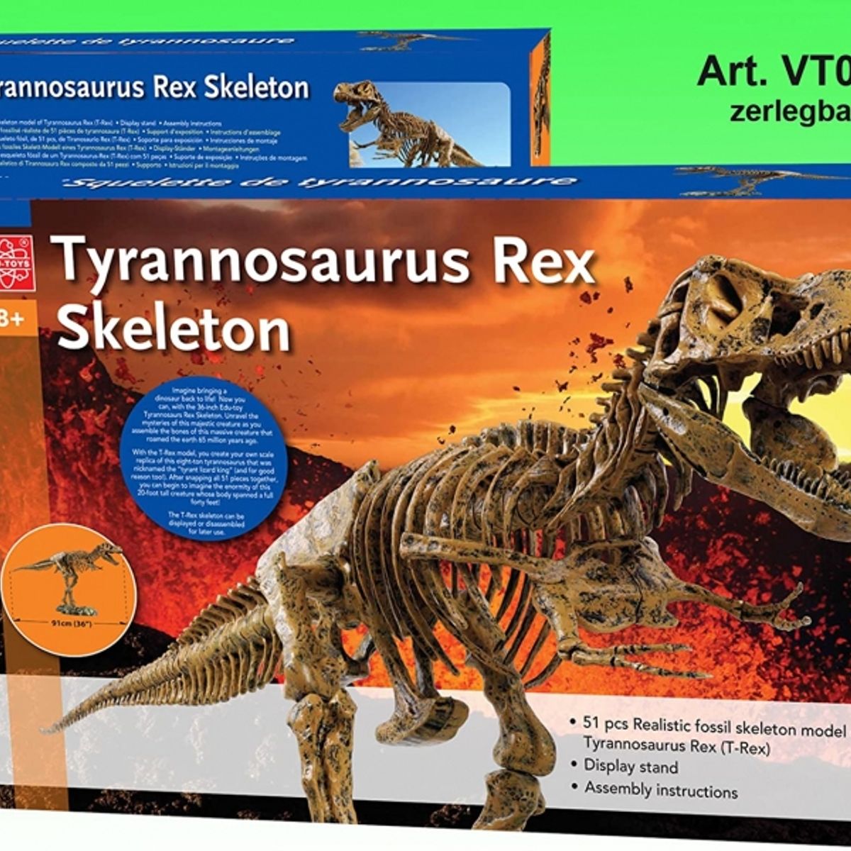 GENERICO - EDUTOYS VT026 TYRANNOSAURUS REX SKELETON