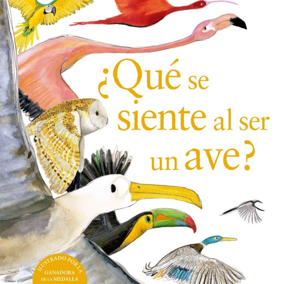 BLUME - ¿Qué se siente al ser un ave?