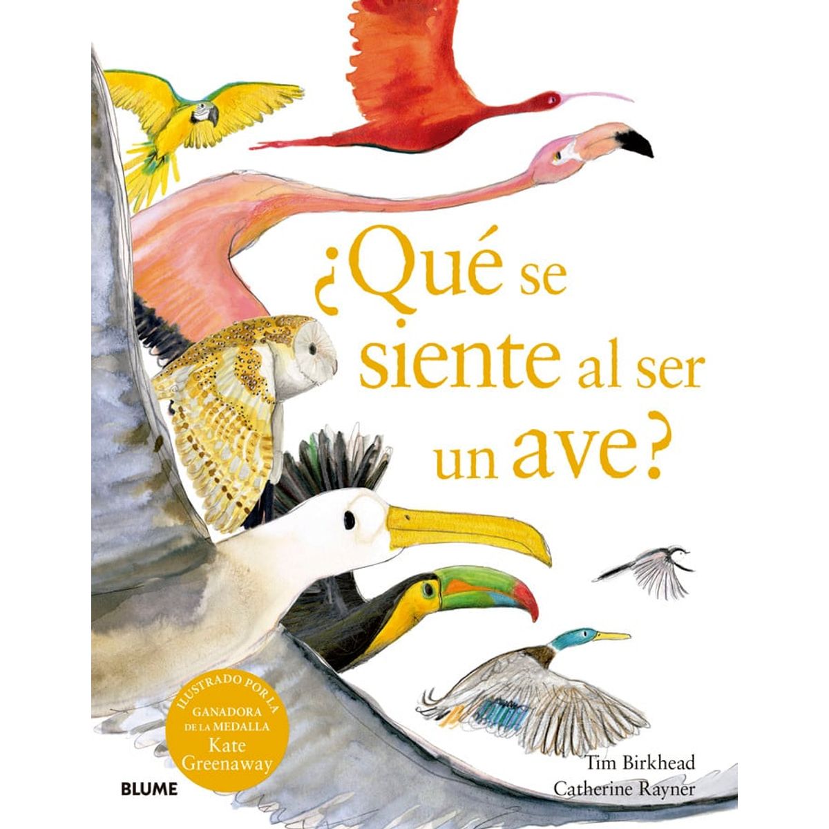 BLUME - ¿Qué se siente al ser un ave?