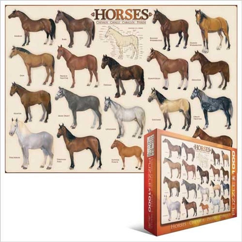 EUROGRAPHICS - EUROGRAPHICS 6000-0078 HORSES PUZZLE 1000 PIEZAS