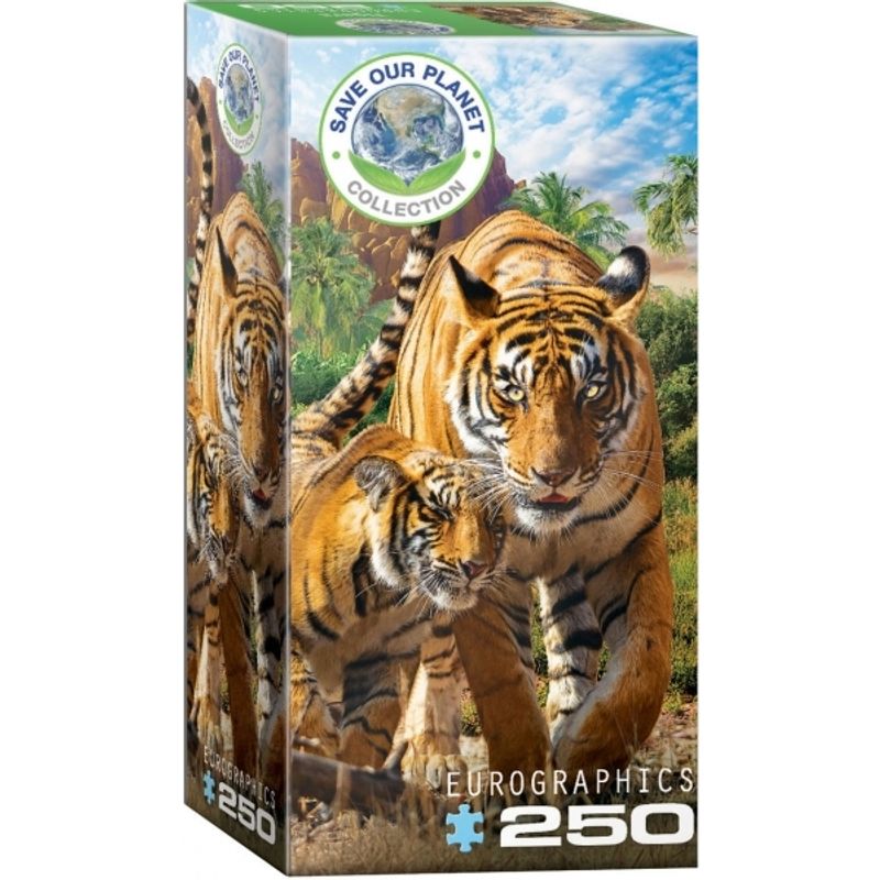 EUROGRAPHICS - EUROGRAPHICS 8251-5559 TIGERS PUZZLE 250 PIEZAS