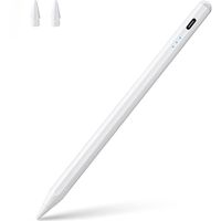 Lápiz Óptico Para iPad Con Rechazo de Palma +2018