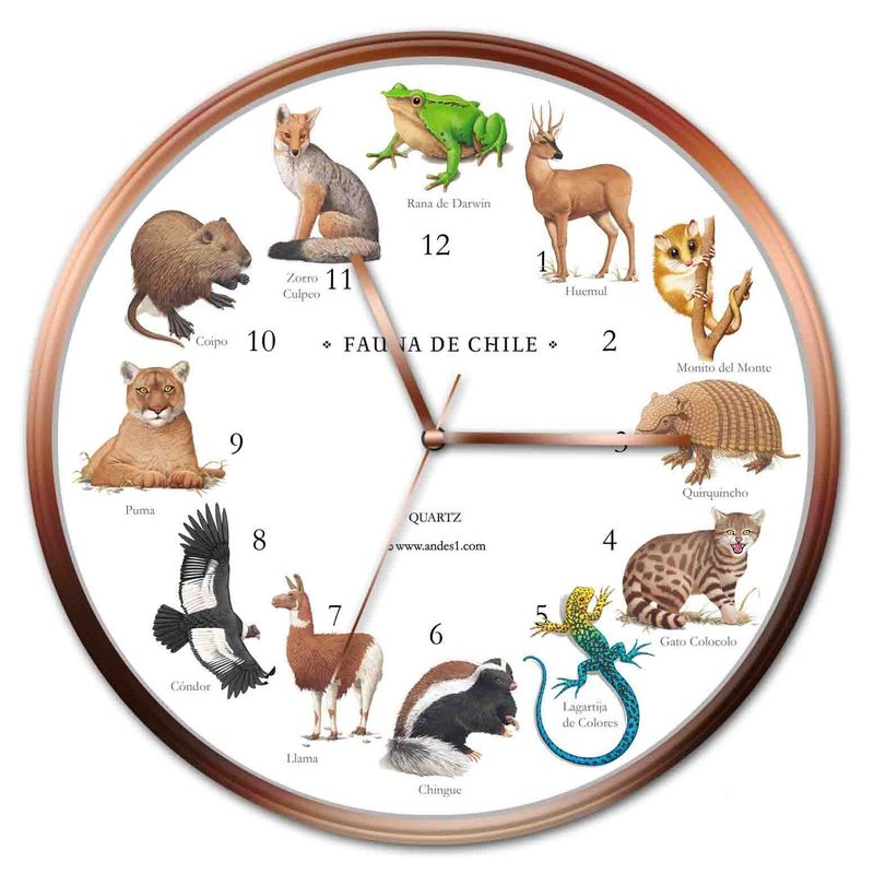 ANDES1 - Reloj Fauna Chilena