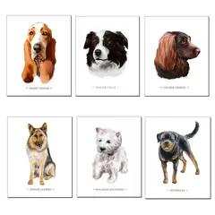 ANDES1 - Set de 6 láminas de Perros típicos chilenos N°1