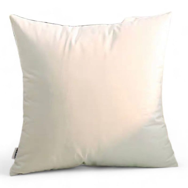 GENERICO - Funda Para Cojin Terciopelo Liso Velvet Variedad De Colores
