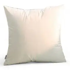 GENERICO - Funda Para Cojin Terciopelo Liso Velvet Variedad De Colores