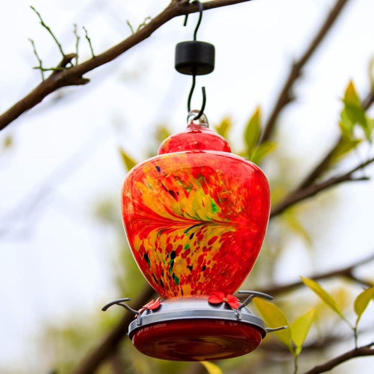 GENERICO - Bebedero y Comedero De Colibrí