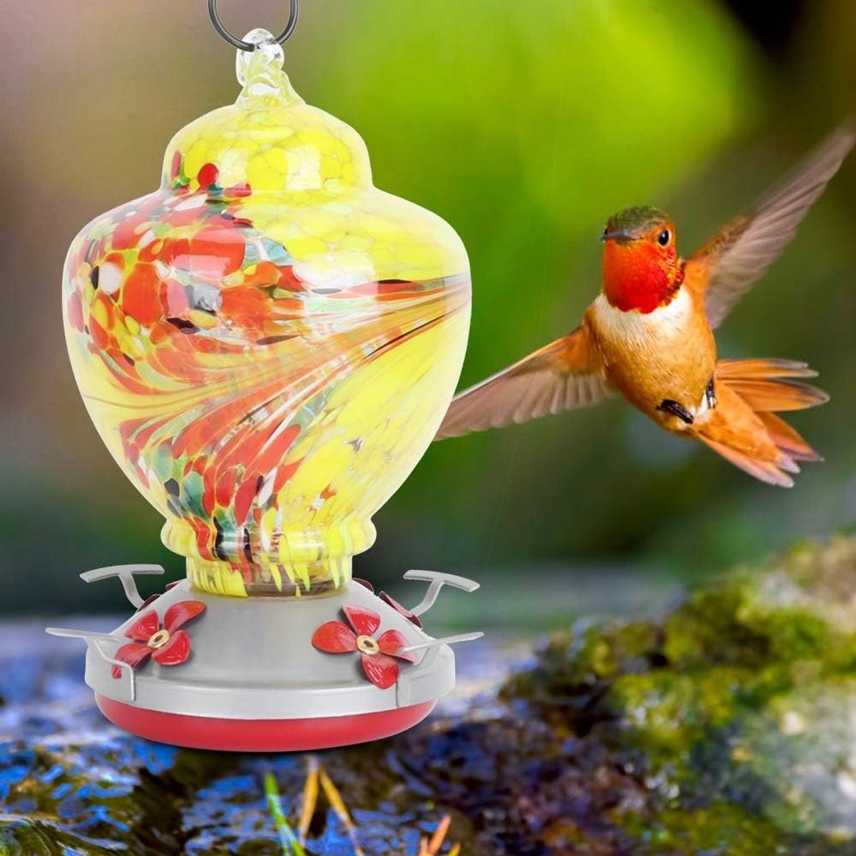 GENERICO - Bebedero y Comedero De Colibrí