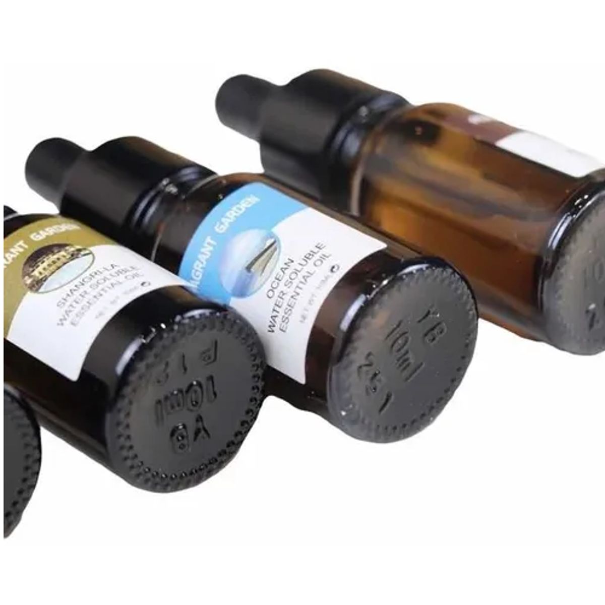 GENERICO - Set De 6 Aceites Esenciales Fragrant Garden Aromas De 10ml C/U Gotero