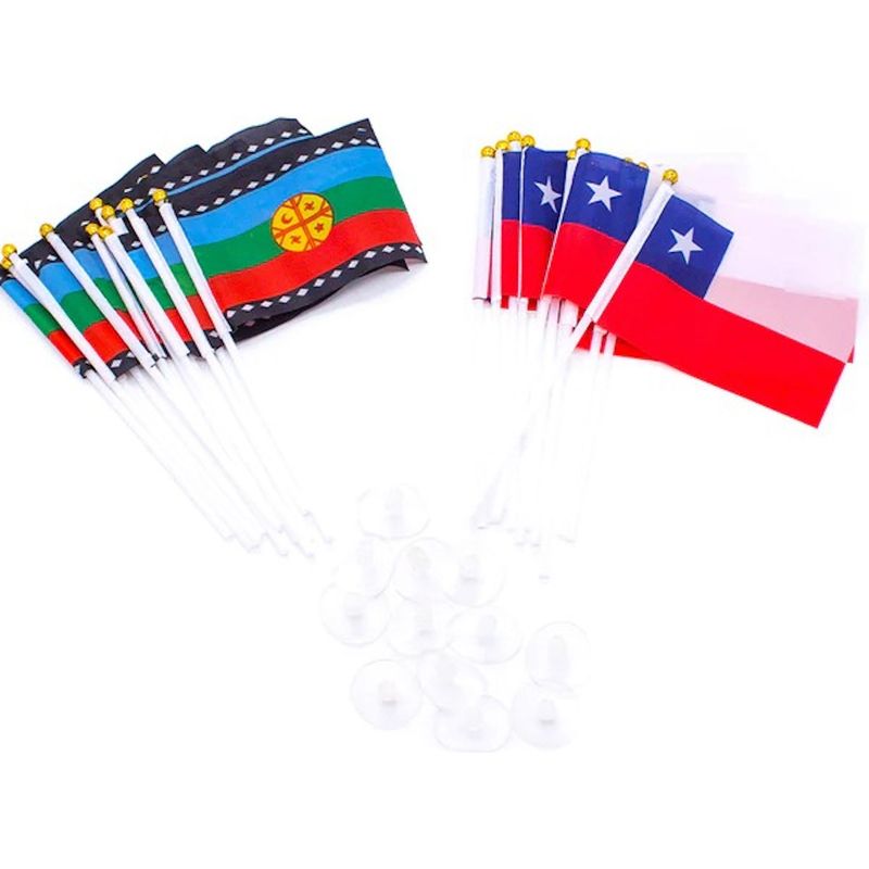 GENERICO - 12 Bandera Doble Bandera De Chile Y Mapuche