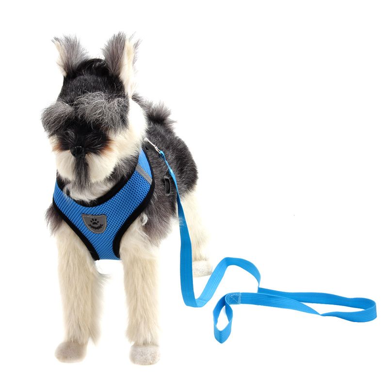 GENERICO - Arnés Reflectante y Correa para Perros Mascotas Azul Talla L