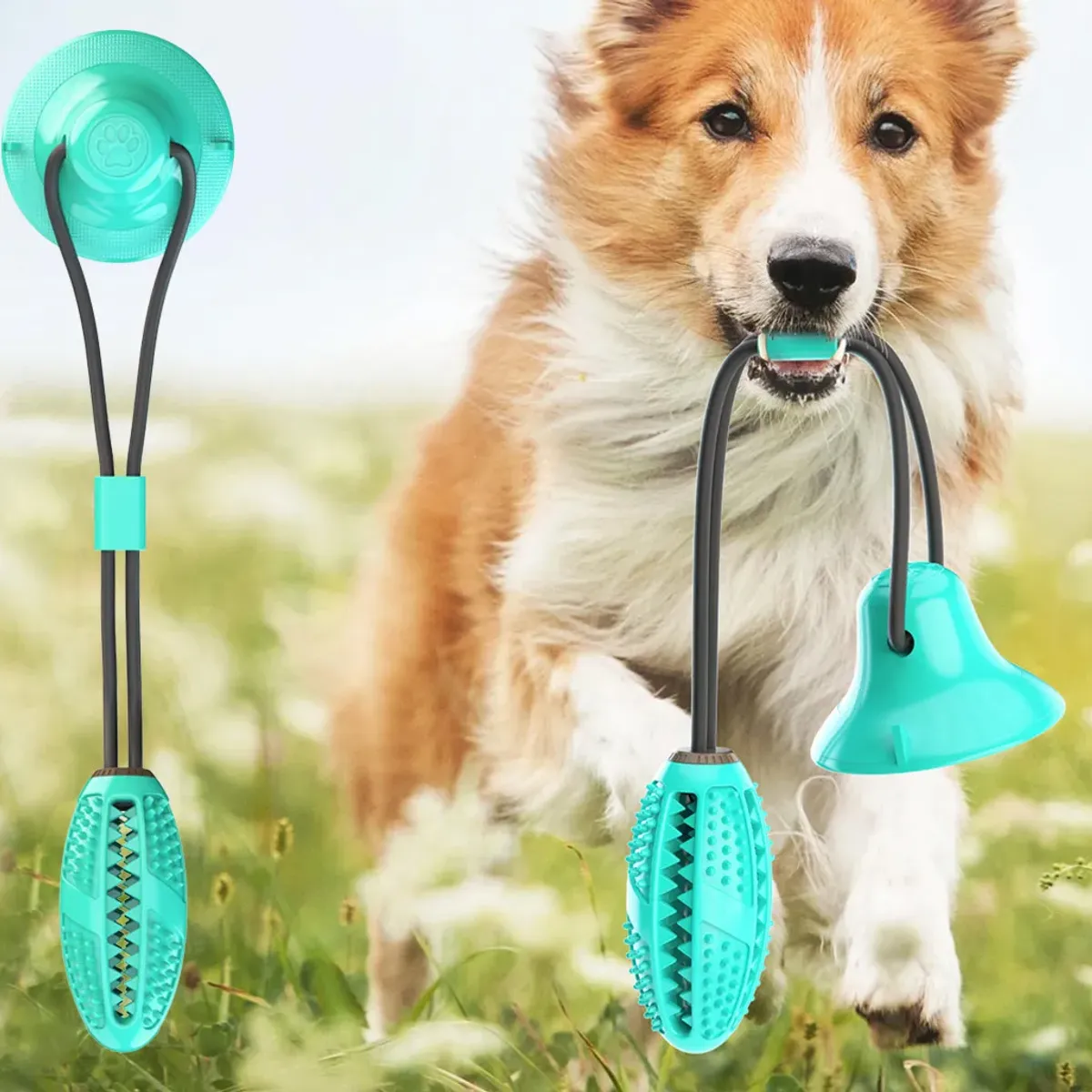 MASCO TODO - Juguete de fuga de Comida Verde para Mascotas Perro