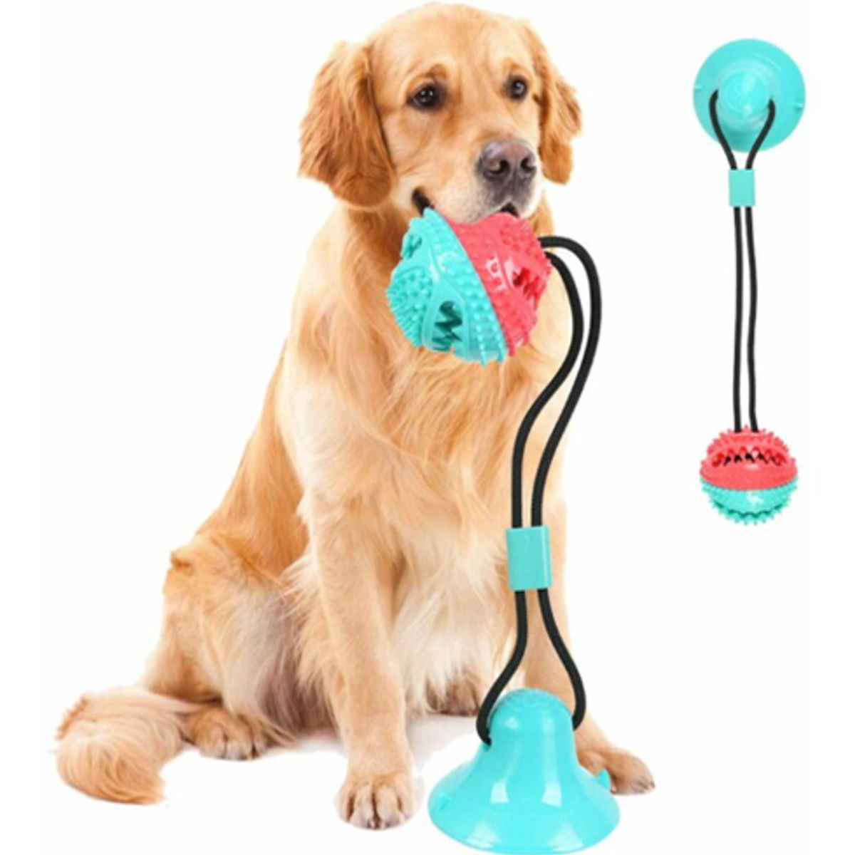 MASCO TODO - Juguete de fuga de Comida Azul Mascotas Perro con Cascabel