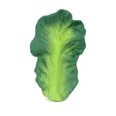 OLI & CAROL - Mordedor KALE