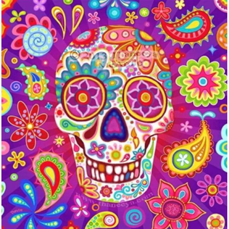 GENERICO - Kit Diamond Painting Pintura De Diamante - Catrina 57