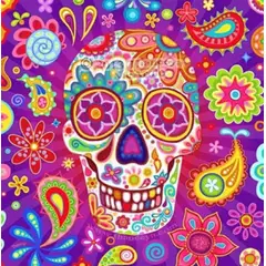 GENERICO - Kit Diamond Painting Pintura De Diamante - Catrina 57