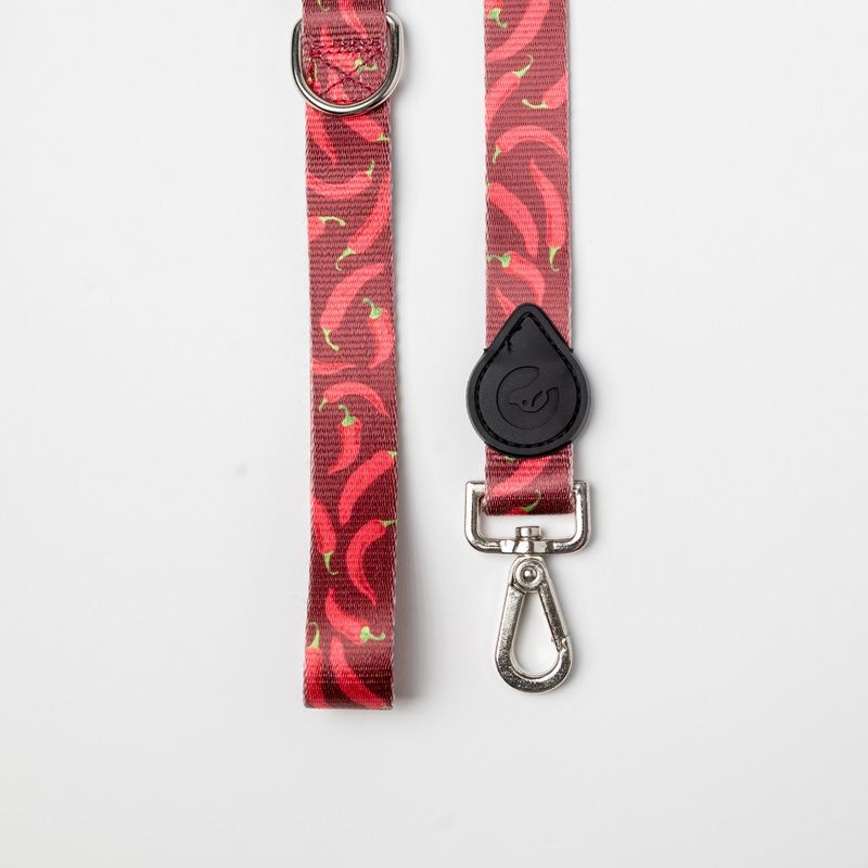 PET FIND - Correa para mascotas Petfind Spicy
