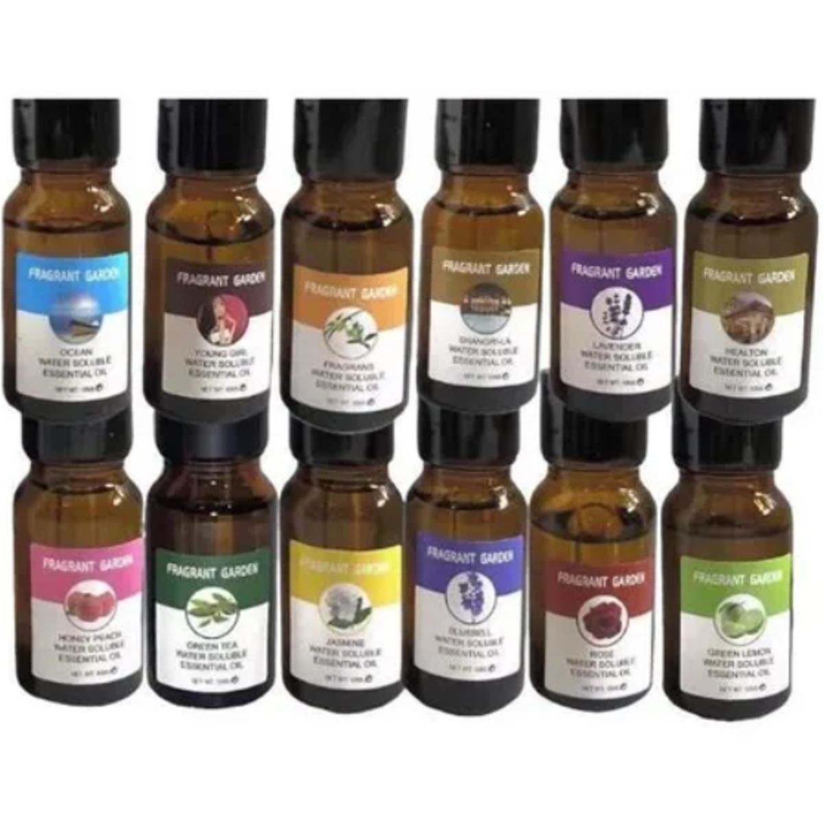 GENERICO - Pack De 12 Aceites Esenciales Aromaticos De 10ml C/U Variados