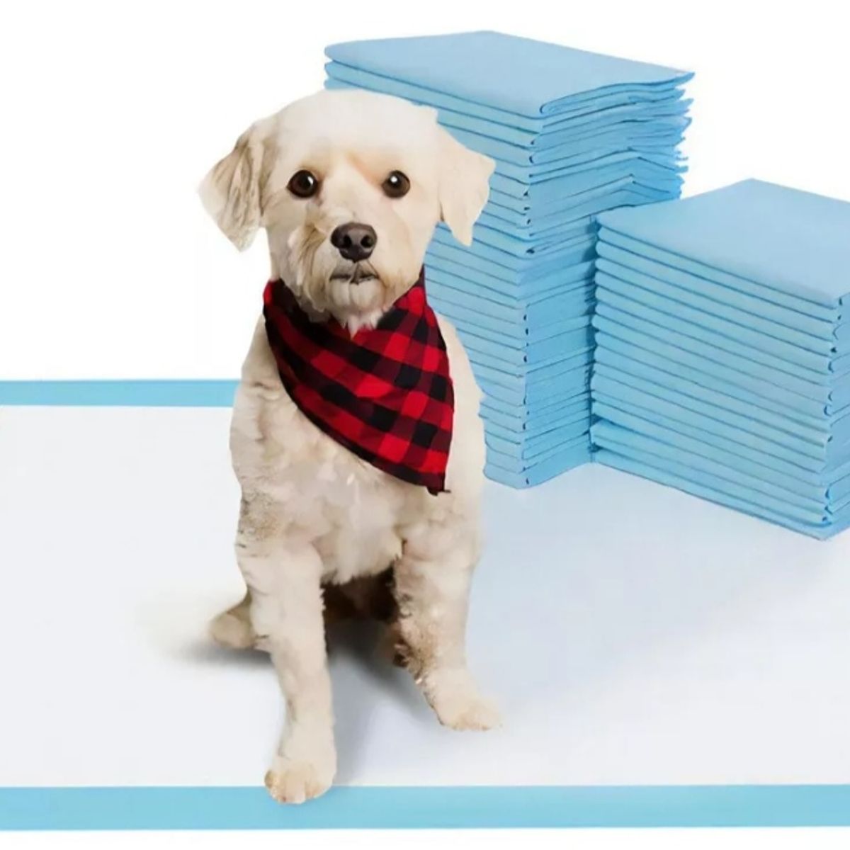 GENERICO - 50 Pañales Tipo Sabanillas Mascotas Perros 45x60 Cms