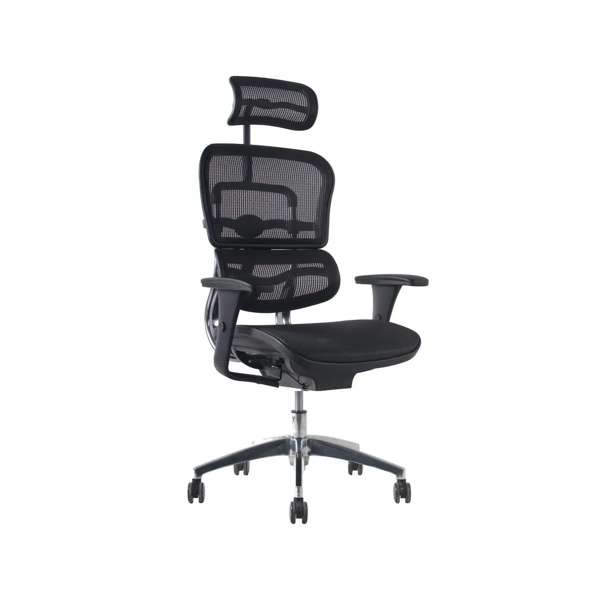 SANSSOUCI - Silla escritorio Home Office Ergohuman fit Malla