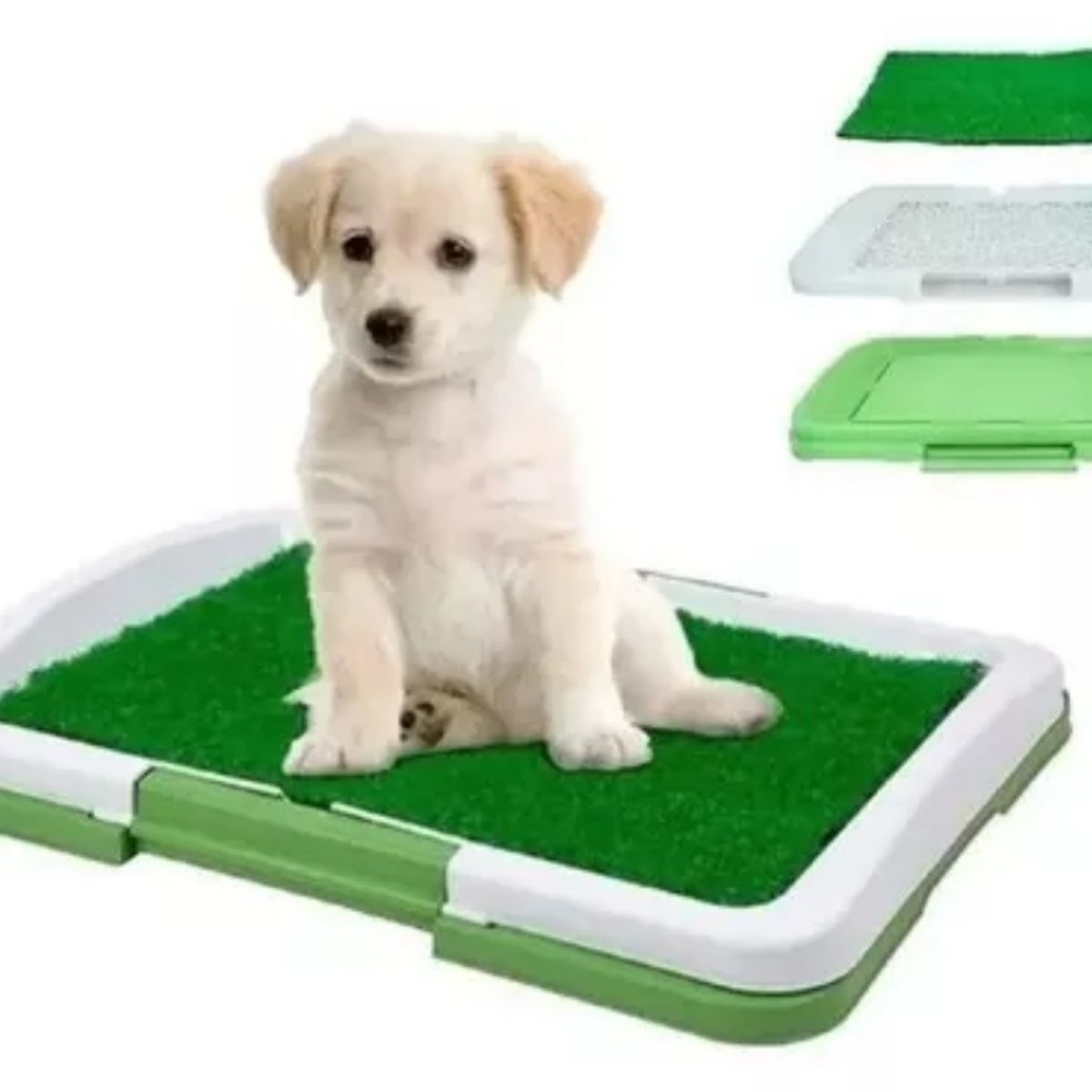 GENERICO - Baño Ecológico Para Mascotas Perros Puppy Potty Pad