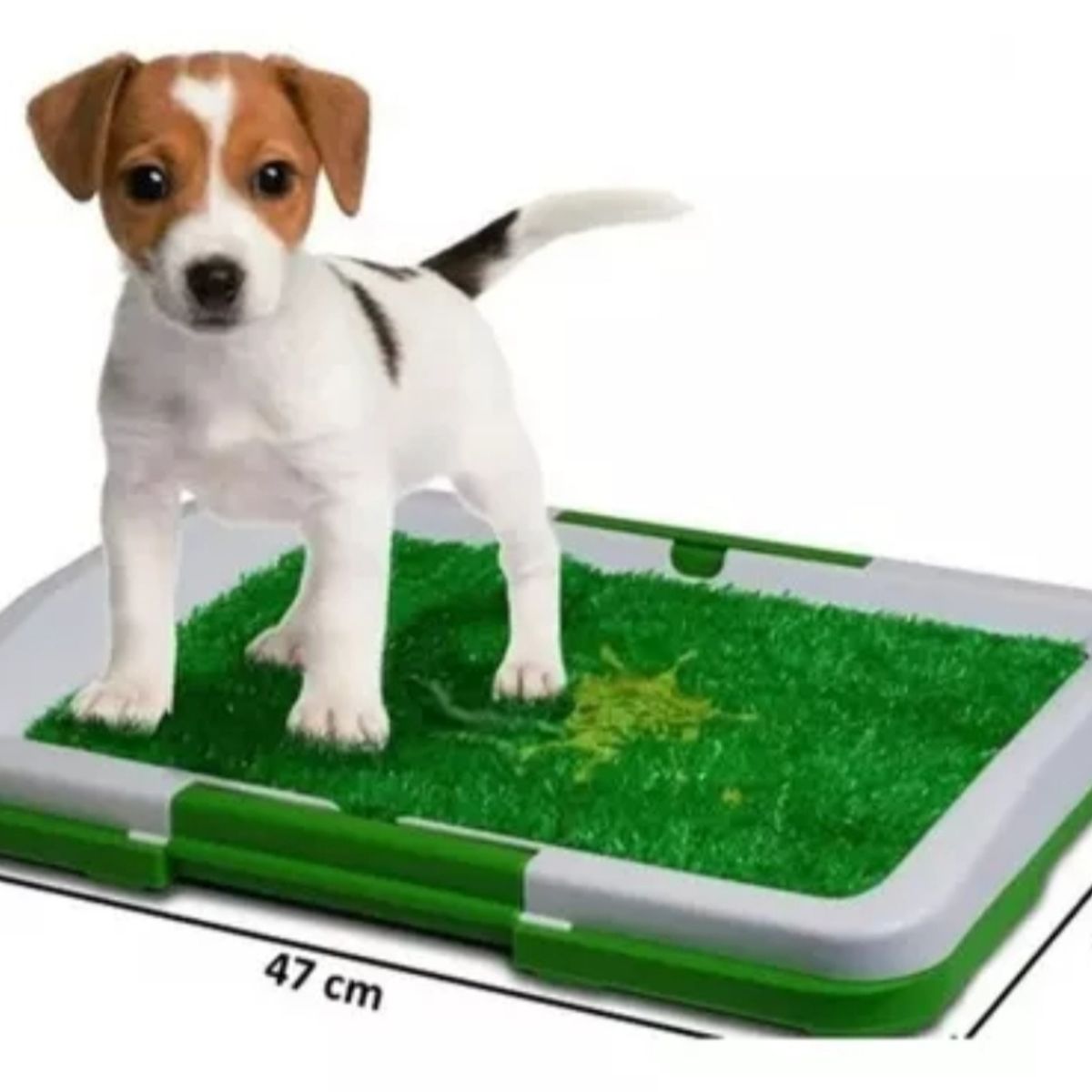 GENERICO - Baño Ecológico Para Mascotas Perros Puppy Potty Pad