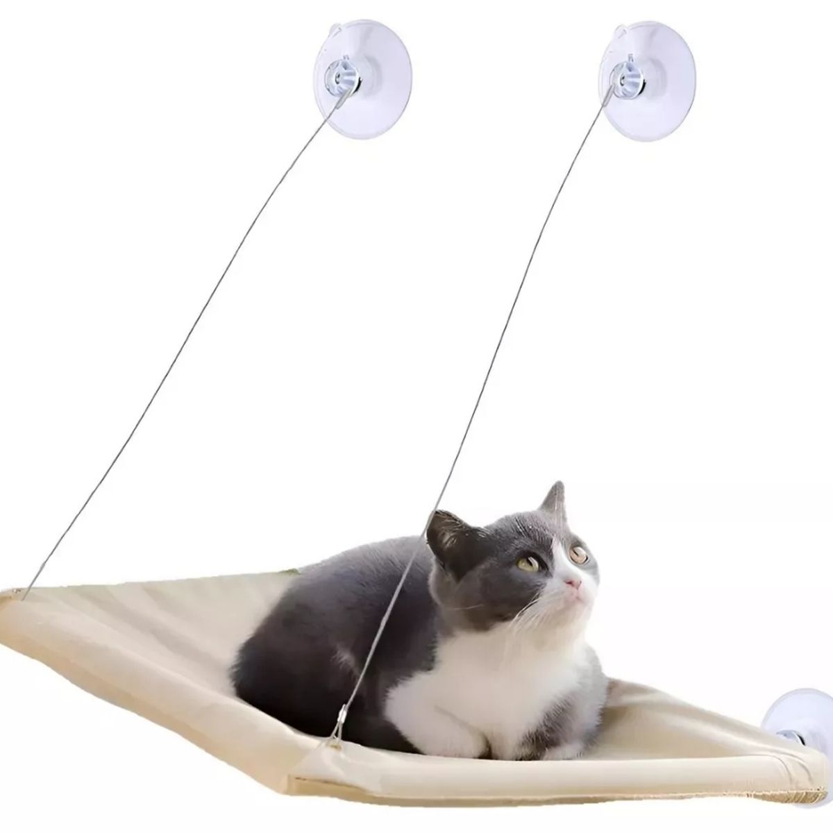 GENERICO - Cama para Gatos para ventanas
