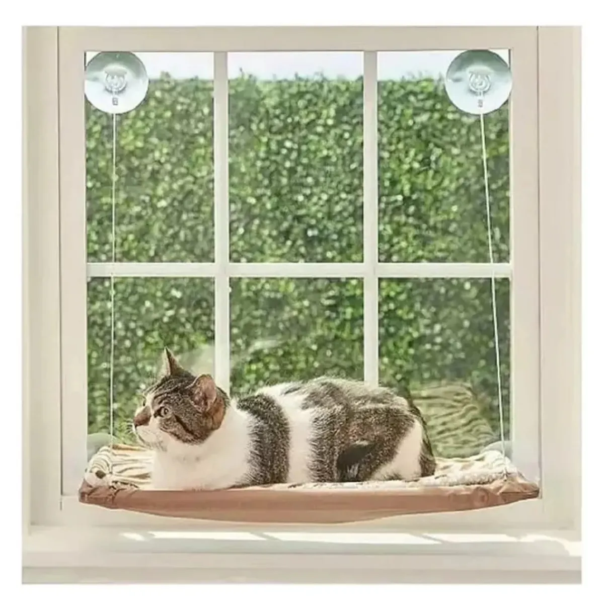 GENERICO - Cama para Gatos para ventanas